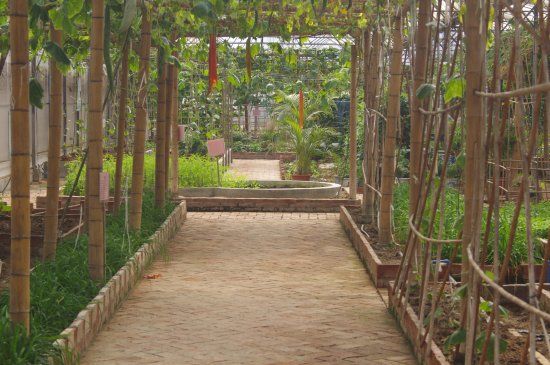 Guangzhou Vegetable Park